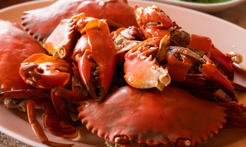 จานที่เต็มไปด้วยปูแดงปรุงสุก ทั้งปูทั้งตัวและปูม้าเสิร์ฟบนจานสีขาว—เหมาะรวม ที่เที่ยวเกาะสีชัง เกาะสวยๆ ในที่เที่ยวชลบุรี ไป เที่ยวเกาะสีชัง เดินทางง่ายๆ ใกล้กรุงเทพแบบไปเช้าเย็นกลับได้ หลีกหนีความวุ่นวาย พร้อมอวดสถานที่สโลว์ไลฟ์
สำหรับคนรักอาหารทะเลที่กำลังสำรวจ ที่เที่ยวเกาะสีชัง.