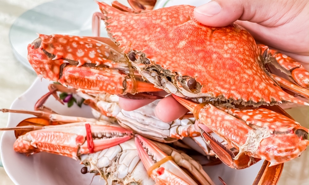 มือที่ถือปูที่ปรุงสุกแล้วอยู่เหนือจานที่เต็มไปด้วยปูที่ปรุงสุกอร่อยอีกมากมาย—ประสบการณ์ที่ต้องลองเมื่อคุณไปรวม ที่เที่ยวเกาะสีชัง เกาะสวยๆ ในที่เที่ยวชลบุรี ไป เที่ยวเกาะสีชัง เดินทางง่ายๆ ใกล้กรุงเทพแบบไปเช้าเย็นกลับได้ หลีกหนีความวุ่นวาย พร้อมอวดสถานที่สโลว์ไลฟ์
เที่ยวเกาะสีชัง.