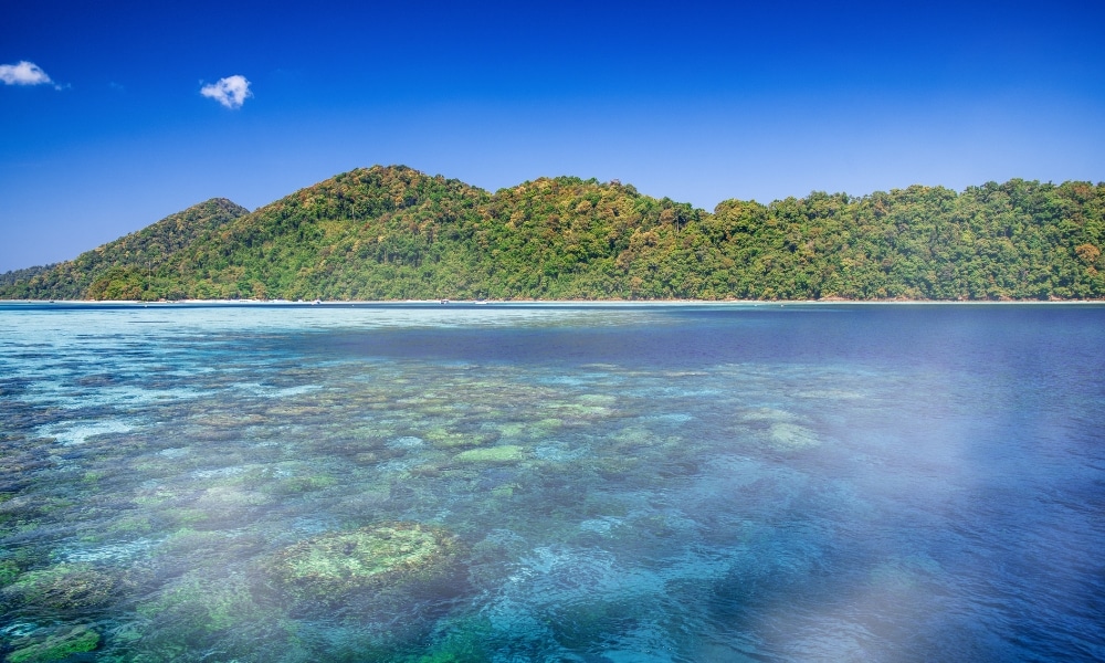 น้ำทะเลใสสีฟ้าที่สามารถมองเห็นปะการังใต้ผิวน้ำได้, ภูเขาที่ปกคลุมไปด้วยป่าเขียวขจีอยู่เบื้องหลัง, และท้องฟ้าสีฟ้าสดใสอยู่เหนือศีรษะ—เหมาะสำหรับผู้ที่กำลังค้นหาสถานที่ท่องเที่ยวในชุมพร และฝันถึง ที่เที่ยวชุมพร ประสบการณ์ท่องเที่ยวในชุมพรที่ไม่มีวันลืม.