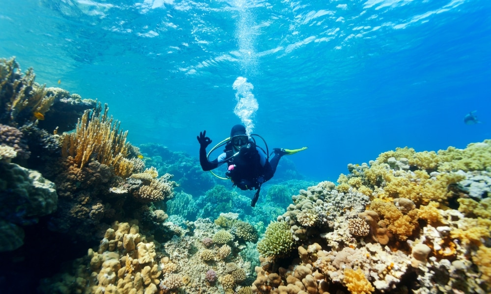 นักดำน้ำสกูบาสำรวจแนวปะการังหลากสีสันใต้น้ำที่ชุมพร ทำ ที่เที่ยวชุมพร สัญลักษณ์โอเคขณะที่แสงแดดส่องผ่านน้ำทะเลสีฟ้าใส—หนึ่งในสถานที่ท่องเที่ยวที่ต้องไปเยือนของชุมพรสำหรับคนรักทะเล.