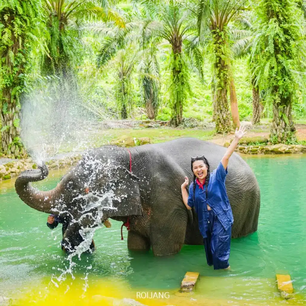 ผู้หญิงคนหนึ่งยืนอยู่ในน้ำตื้นข้างช้างที่กำลังพ่นน้ำด้วยงวง ทั้งสองรายล้อมไปด้วยพืชพรรณเขียวชอุ่มบน Sealand Adventure พังงา.
