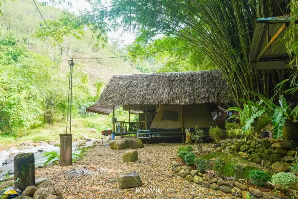 กระท่อมหลังคามุงจากที่มีเต็นท์อยู่ข้างใต้ตั้งอยู่ริมลำธารหิน ล้อมรอบด้วยพืชพรรณเขียวชอุ่มและต้นไผ่ในพื้นที่ป่า—สถานที่พักผ่อนอันแสนสงบที่ Sealand Adventure พังงา.