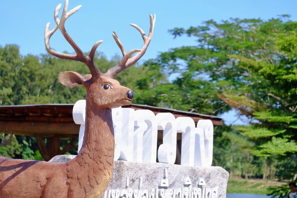รูปปั้นกวางตั้งอยู่หน้าป้ายสีขาวและต้นไม้สีเขียวใต้ท้องฟ้าสีฟ้าใส ทำให้ ชุมพรที่เที่ยว เป็นจุดที่น่าหลงใหลสำหรับผู้ที่มองหาสถานที่ท่องเที่ยวในชุมพร.