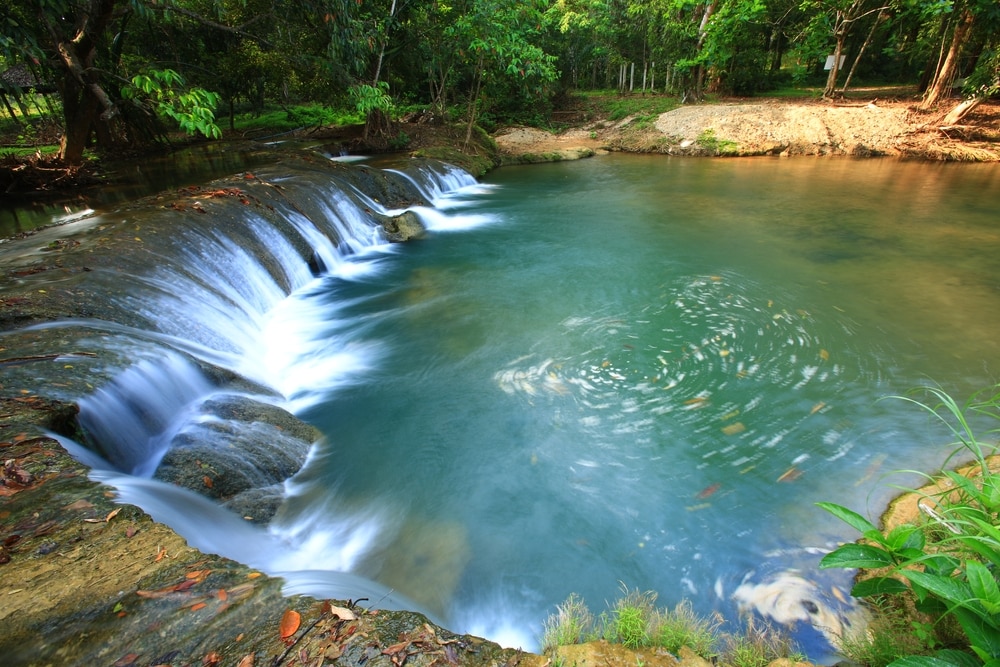 น้ำตกขนาดเล็กไหลลงสู่สระน้ำใสสะอาดรูปทรงกลม ล้อมรอบด้วยต้นไม้และพืชพรรณเขียวชอุ่ม สร้าง ที่เที่ยวชุมพร บรรยากาศป่าอันเงียบสงบ เหมาะอย่างยิ่งสำหรับผู้ที่ต้องการเที่ยวชมชุมพร.