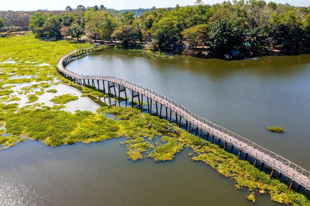 ภาพมุมสูงของสะพานคนเดินโค้งที่ทอดข้ามเหนือแหล่งน้ำ ล้อมรอบด้วยพืชพรรณเขียวขจีและต้นไม้—ทิวทัศน์ที่ชวนให้ใครก็ตามที่กำลังมองหา ที่เที่ยวชุมพร สถานที่ท่องเที่ยวในชุมพรได้สัมผัส.