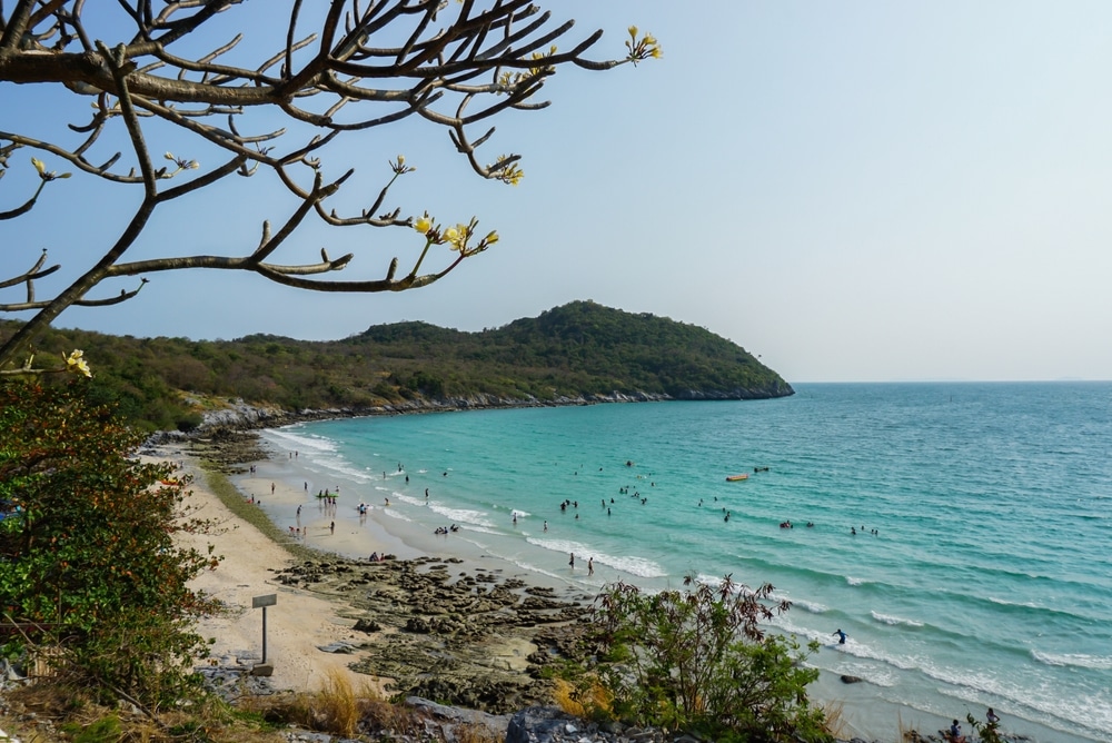 ชายหาดที่สวยงามพร้อมน้ำทะเลสีเทอร์ควอยซ์ ผู้คนกำลังว่ายน้ำ และกิ่งไม้ในเบื้องหน้า ภูเขาสีเขียวสูงขึ้นภายใต้ท้องฟ้าที่แจ่มใส—เหมาะรวม ที่เที่ยวเกาะสีชัง เกาะสวยๆ ในที่เที่ยวชลบุรี ไป เที่ยวเกาะสีชัง เดินทางง่ายๆ ใกล้กรุงเทพแบบไปเช้าเย็นกลับได้ หลีกหนีความวุ่นวาย พร้อมอวดสถานที่สโลว์ไลฟ์
สำหรับผู้ที่ต้องการไปเที่ยวเกาะสีชัง และเพลิดเพลินกับทัศนียภาพของเกาะที่สวยงาม.