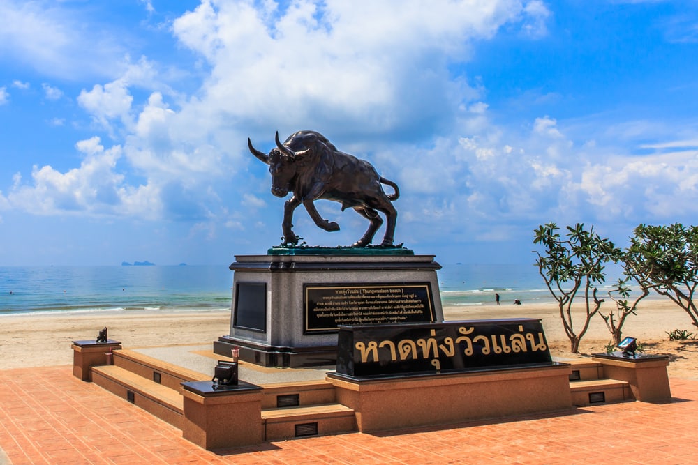 รูปปั้นวัวทองสัมฤทธิ์ตั้งอยู่บนฐานใกล้ชายหาดทรายใต้ท้องฟ้าสีคราม ที่เที่ยวชุมพร ที่มีเมฆลอยอยู่ โดยมีข้อความภาษาไทยบนฐานและป้าย—สถานที่ท่องเที่ยวที่มีชื่อเสียงของจังหวัดชุมพรที่ไม่ควรพลาดสำหรับผู้ที่มาเยือนจังหวัดที่มีเสน่ห์แห่งนี้.