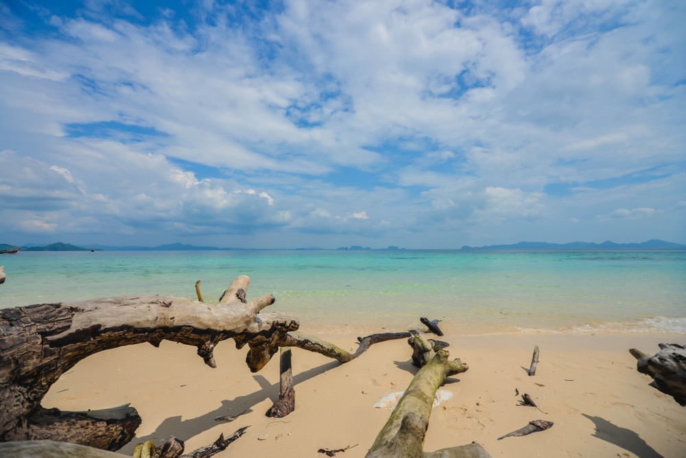 ไม้ลอยน้ำนอนอยู่บนชายหาดทรายขาวสะอาด น้ำทะเลใสสีเทอร์ควอยซ์ และเกาะไกล ๆ ท่ามกลางท้องฟ้าที่มีเมฆบางส่วน—ภาพที่งดงามราวกับฝัน ณ ที่เที่ยวป่าตอง.