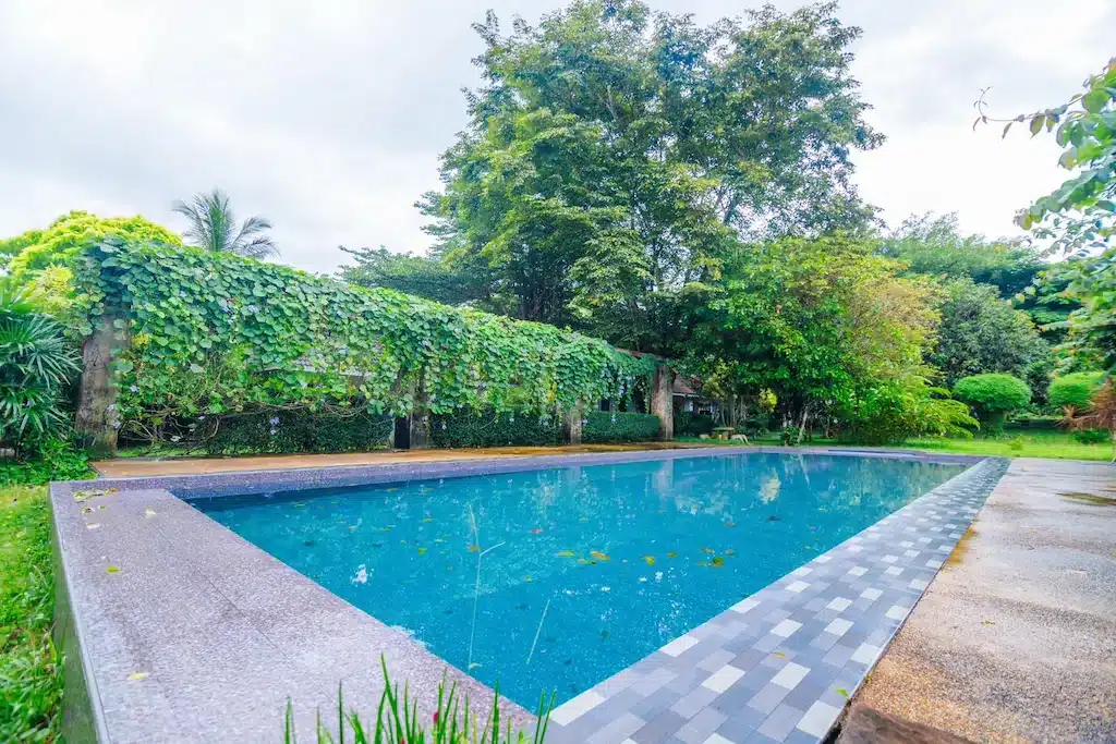 สระว่ายน้ำรูปสี่เหลี่ยมผืนผ้าที่มีน้ำสีฟ้าล้อมรอบด้วยหญ้าสีเขียวและต้นไม้หนาแน่นใต้ท้องฟ้าที่มีเมฆครึ้ม มอบการ ที่พักระนอง หลีกหนีที่เงียบสงบ ณ ที่พักระนองติดทะเล.