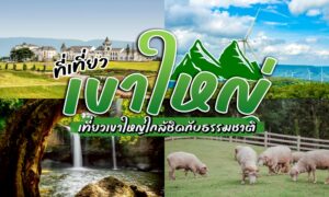 รวม ที่เที่ยวเขาใหญ่ สายธรรมชาติต้องมา เที่ยวได้ทั้งปี! แหล่งท่องเที่ยวธรรมชาติ น้ำตก จุดชมวิว วัดสงบๆ เขาใหญ่ที่เที่ยว แบบครบ เที่ยวเขาใหญ่ ปลายทางยอดฮิต