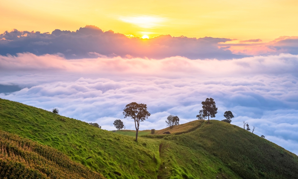 พระอาทิตย์ขึ้นเหนือเนินเขาเขียวขจีที่มีต้นไม้กระจัดกระจายอยู่เหนือชั้นเมฆและท้องฟ้าสีทอง—เหมาะสำหรับผู้ที่มองหา รีสอร์ทเชียงใหม่ หรือ ที่พักเชียงใหม่ ท่ามกลางความงดงามของธรรมชาติ.