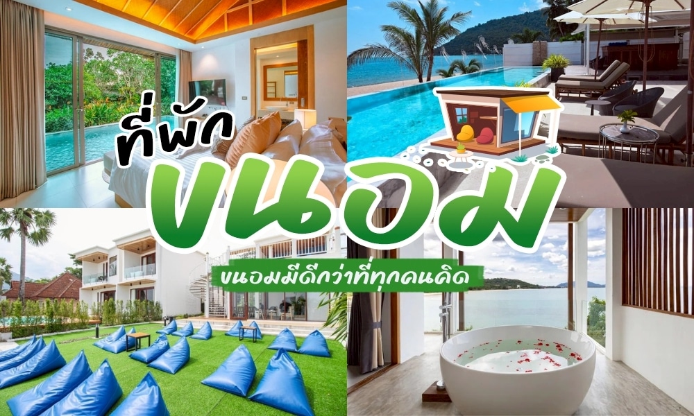 รวม ที่พักขนอม พักผ่อน ขนอมที่พัก สุดฮอต โลเคชั่นนครศรีห้ามพลาด เหมาะกับการหลีกหนีความวุ่นวายจากเมืองใหญ่ ตื่นเช้ามาชมพระอาทิตย์ขึ้นริมทะเล อันดามัน