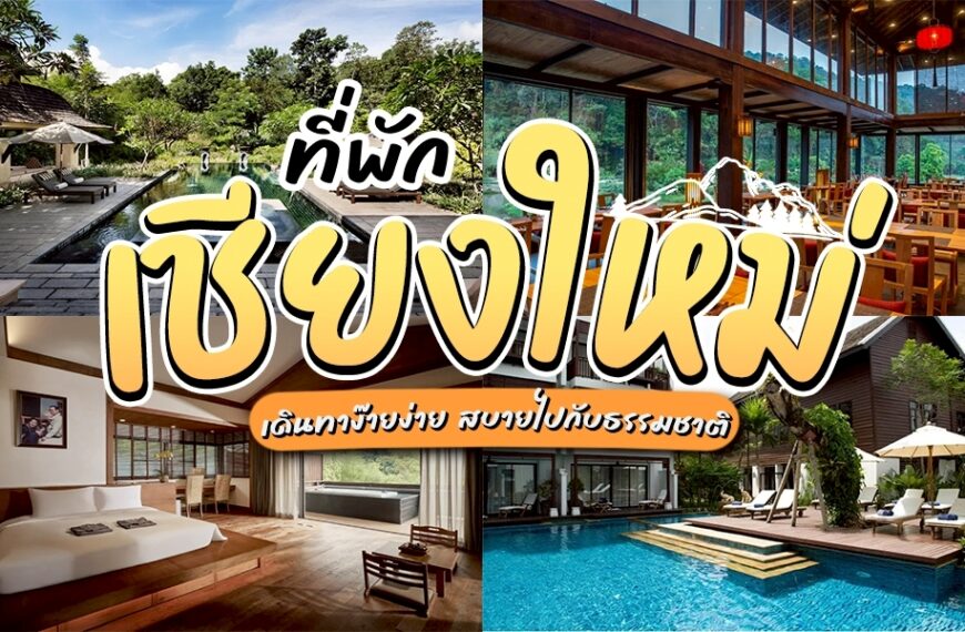 รวม ที่พักเชียงใหม่ แอ่วเหนือ พักผ่อนหน้าหนาวสุดฟิน! หน้าหนาวคือช่วงเวลา รีสอร์ทเชียงใหม่สวยมาก ที่พักในเมืองเชียงใหม่ ตอบโจทย์สายเที่ยวอากาศเย็นสบาย