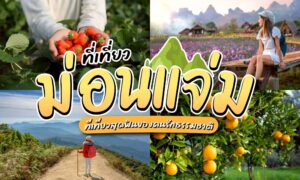แนะนำ ที่เที่ยวม่อนแจ่ม อัปเดตวิวภูเขาหมอกสวย เที่ยวฟินทุกฤดู!! เที่ยวม่อนแจ่ม จะกลายเป็นลิสต์อันดับต้น ๆ สน่ห์ของม่อนแจ่มคือความเรียบง่ายแต่ไม่จำเจ ฟินๆ