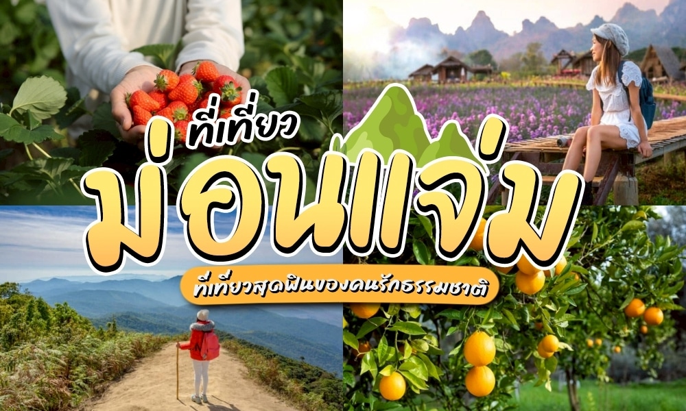 แนะนำ ที่เที่ยวม่อนแจ่ม อัปเดตวิวภูเขาหมอกสวย เที่ยวฟินทุกฤดู!! เที่ยวม่อนแจ่ม จะกลายเป็นลิสต์อันดับต้น ๆ สน่ห์ของม่อนแจ่มคือความเรียบง่ายแต่ไม่จำเจ ฟินๆ